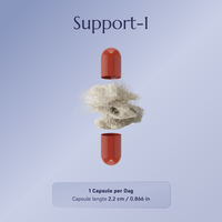 Support-1 Multivitaminen - 90 dagen