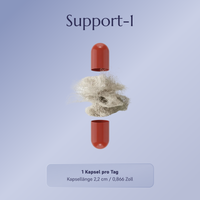 Support-1 Multivitamine – 90 Tage