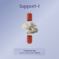 Support-1 Multivitamine – 90 Tage